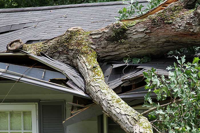 Roofing, Storm Window, and Door Services